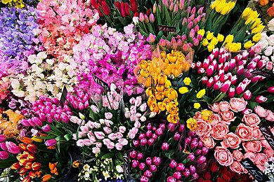 临时工的锅？部分欧服PSN用户提前玩到4月会免游戏