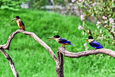 《破晓传奇》黎明新程DLC预购 本体售价永降